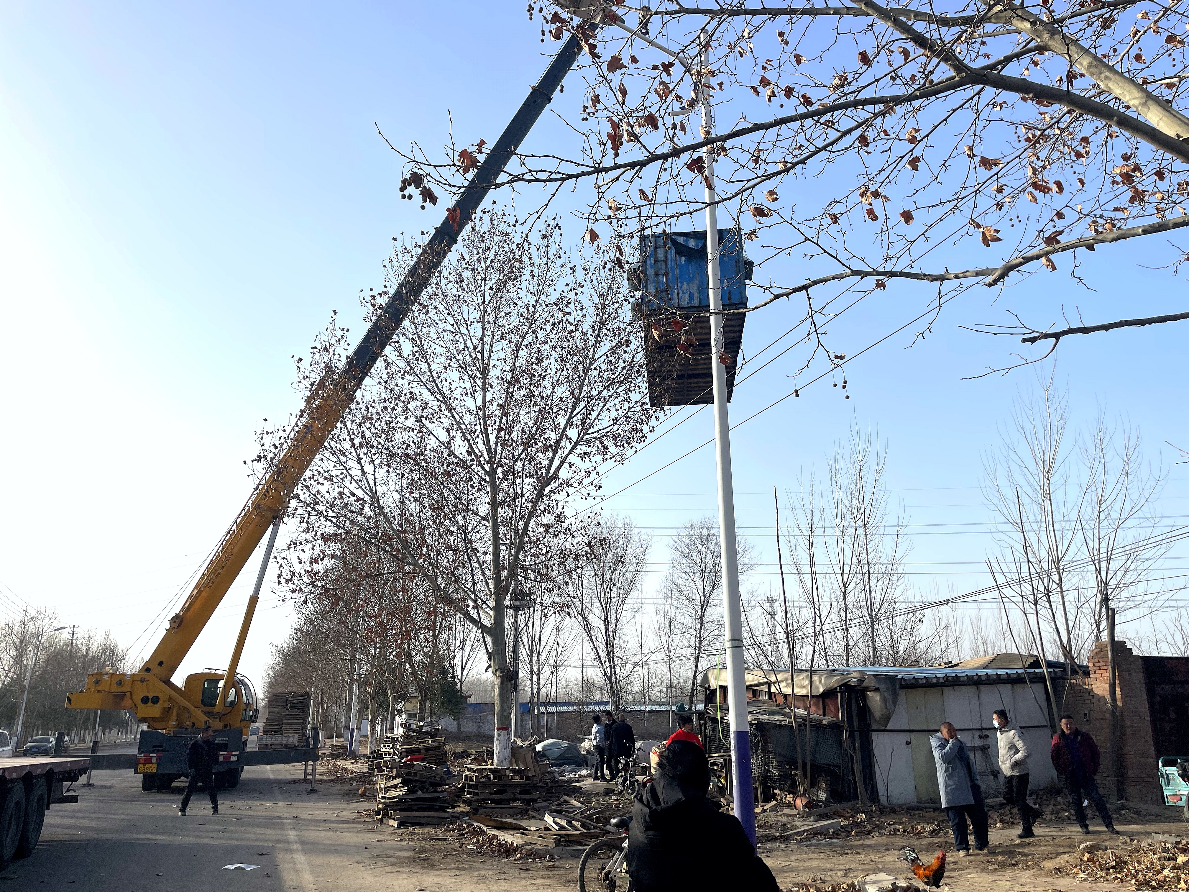 20231198162.jpg 20231198162.jpg